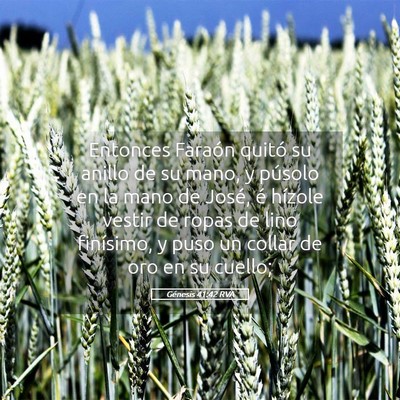 Picture 05 - Génesis 41:42 RVA - Entonces Faraón quitó su anillo de su mano, y - Bible Verse Picture