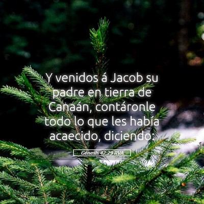Picture 05 - Génesis 42:29 RVA - Y venidos á Jacob su padre en tierra de Canaán, - Bible Verse Picture