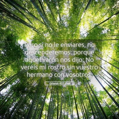 Picture 05 - Génesis 43:5 RVA - Pero si no le enviares, no descenderemos: porque - Bible Verse Picture