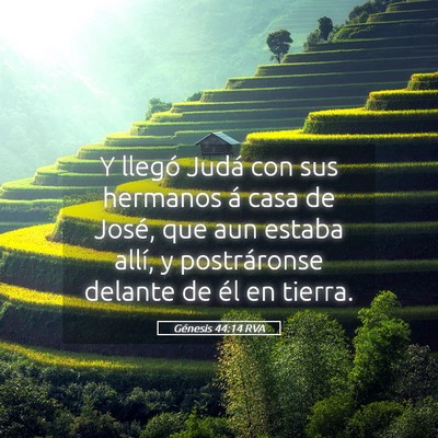 Picture 05 - Génesis 44:14 RVA - Y llegó Judá con sus hermanos á casa de José, - Bible Verse Picture