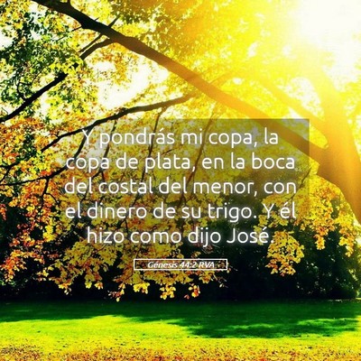 Picture 05 - Génesis 44:2 RVA - Y pondrás mi copa, la copa de plata, en la boca - Bible Verse Picture