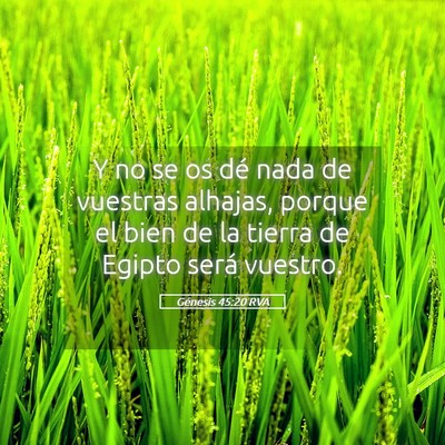 Picture 05 - Génesis 45:20 RVA - Y no se os dé nada de vuestras alhajas, porque - Bible Verse Picture