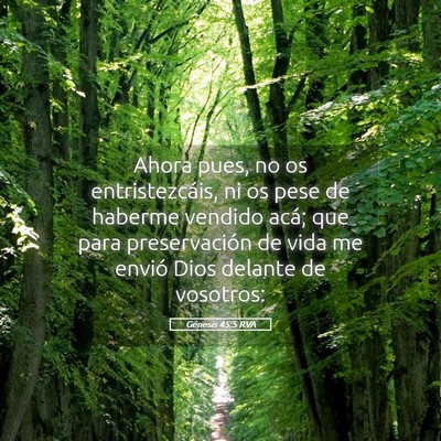 Picture 05 - Génesis 45:5 RVA - Ahora pues, no os entristezcáis, ni os pese de - Bible Verse Picture