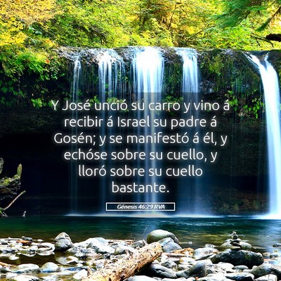 Picture 05 - Génesis 46:29 RVA - Y José unció su carro y vino á recibir á - Bible Verse Picture