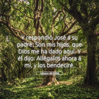 Picture 05 - Génesis 48:9 RVA - Y respondió José á su padre: Son mis hijos, - Bible Verse Picture