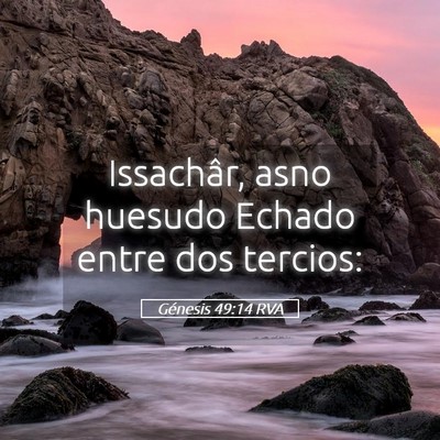 Picture 05 - Génesis 49:14 RVA - Issachâr, asno huesudo Echado entre dos - Bible Verse Picture