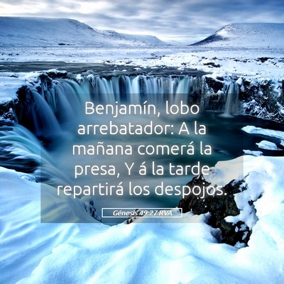 Picture 05 - Génesis 49:27 RVA - Benjamín, lobo arrebatador: A la mañana comerá - Bible Verse Picture