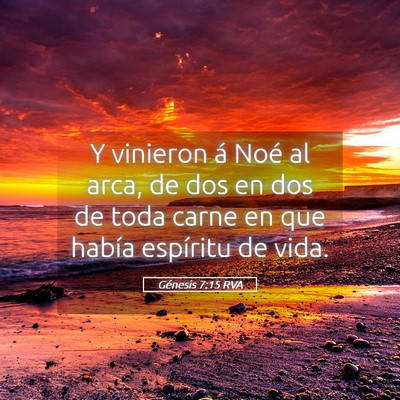 Picture 05 - Génesis 7:15 RVA - Y vinieron á Noé al arca, de dos en dos de toda - Bible Verse Picture