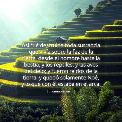 Picture 05 - Génesis 7:23 RVA - Así fué destruída toda sustancia que vivía - Bible Verse Picture