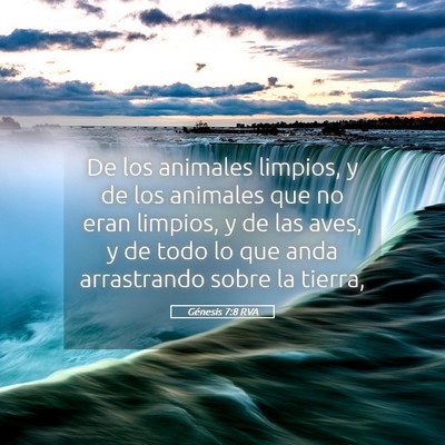Picture 05 - Génesis 7:8 RVA - De los animales limpios, y de los animales que no - Bible Verse Picture
