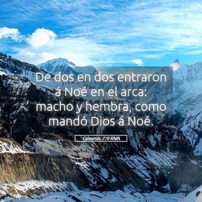 Picture 05 - Génesis 7:9 RVA - De dos en dos entraron á Noé en el arca: macho - Bible Verse Picture