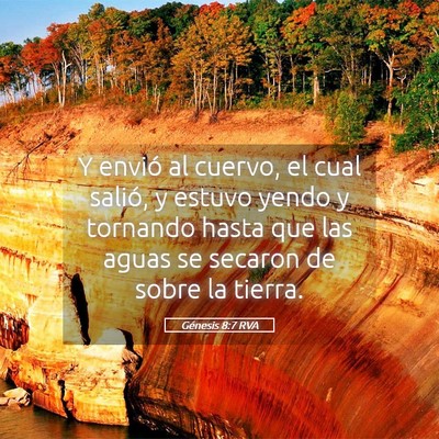 Picture 05 - Génesis 8:7 RVA - Y envió al cuervo, el cual salió, y estuvo - Bible Verse Picture