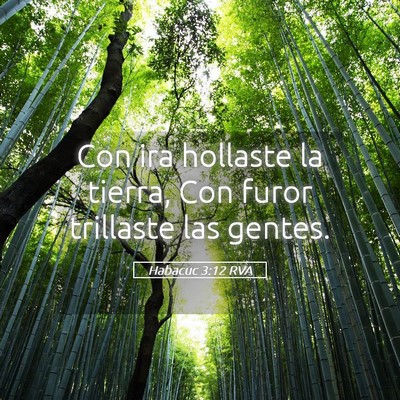 Picture 05 - Habacuc 3:12 RVA - Con ira hollaste la tierra, Con furor trillaste - Bible Verse Picture