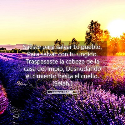 Picture 05 - Habacuc 3:13 RVA - Saliste para salvar tu pueblo, Para salvar con tu - Bible Verse Picture