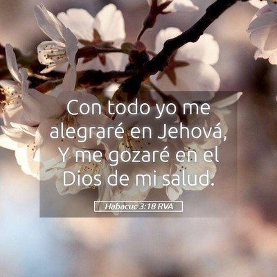 Picture 05 - Habacuc 3:18 RVA - Con todo yo me alegraré en Jehová, Y me gozaré - Bible Verse Picture