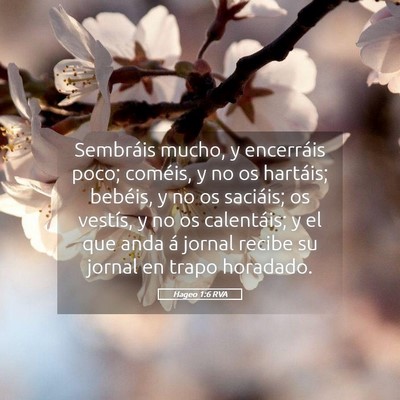 Picture 05 - Hageo 1:6 RVA - Sembráis mucho, y encerráis poco; coméis, y no - Bible Verse Picture
