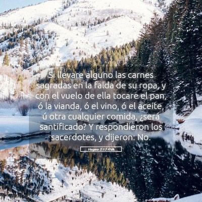 Picture 05 - Hageo 2:12 RVA - Si llevare alguno las carnes sagradas en la falda - Bible Verse Picture
