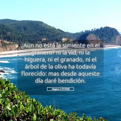 Picture 05 - Hageo 2:19 RVA - ¿Aun no está la simiente en el granero? ni la - Bible Verse Picture
