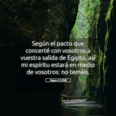 Picture 05 - Hageo 2:5 RVA - Según el pacto que concerté con vosotros a - Bible Verse Picture