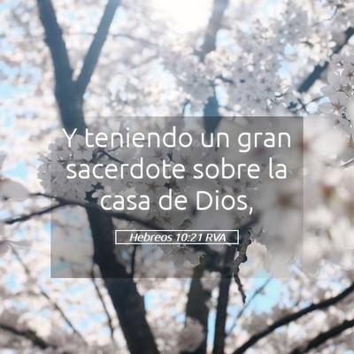 Picture 05 - Hebreos 10:21 RVA - Y teniendo un gran sacerdote sobre la casa de - Bible Verse Picture