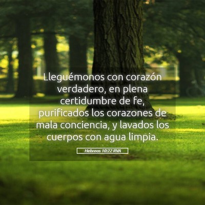 Picture 05 - Hebreos 10:22 RVA - Lleguémonos con corazón verdadero, en plena - Bible Verse Picture