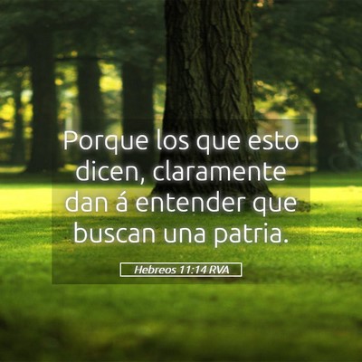 Picture 05 - Hebreos 11:14 RVA - Porque los que esto dicen, claramente dan á - Bible Verse Picture