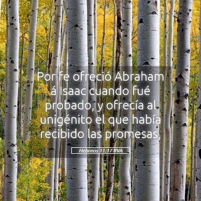 Picture 05 - Hebreos 11:17 RVA - Por fe ofreció Abraham á Isaac cuando fué - Bible Verse Picture
