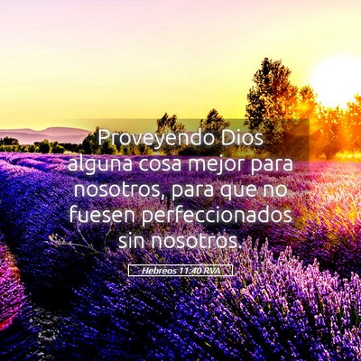Picture 05 - Hebreos 11:40 RVA - Proveyendo Dios alguna cosa mejor para nosotros, - Bible Verse Picture