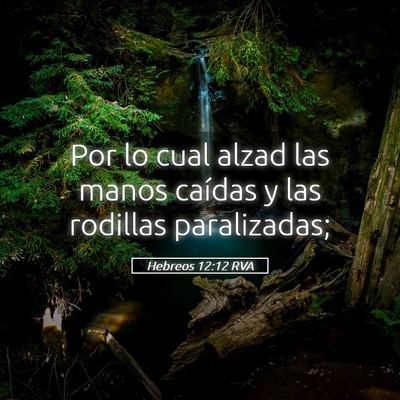 Picture 05 - Hebreos 12:12 RVA - Por lo cual alzad las manos caídas y las - Bible Verse Picture
