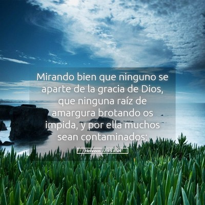 Picture 05 - Hebreos 12:15 RVA - Mirando bien que ninguno se aparte de la gracia - Bible Verse Picture
