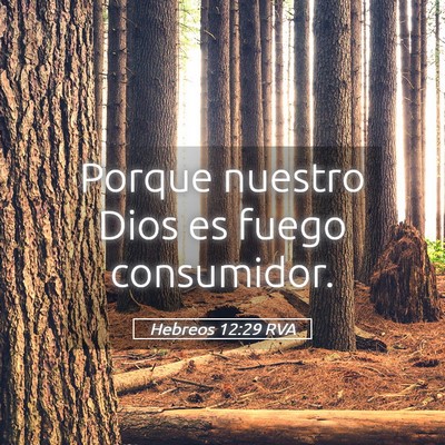 Picture 05 - Hebreos 12:29 RVA - Porque nuestro Dios es fuego - Bible Verse Picture
