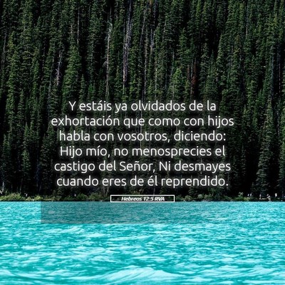 Picture 05 - Hebreos 12:5 RVA - Y estáis ya olvidados de la exhortación que - Bible Verse Picture
