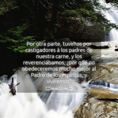 Picture 05 - Hebreos 12:9 RVA - Por otra parte, tuvimos por castigadores á los - Bible Verse Picture