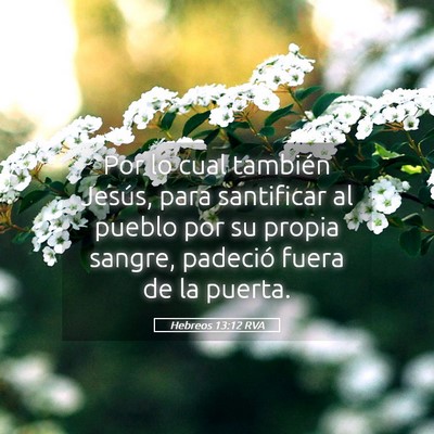 Picture 05 - Hebreos 13:12 RVA - Por lo cual también Jesús, para santificar al - Bible Verse Picture