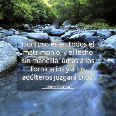 Picture 05 - Hebreos 13:4 RVA - Honroso es en todos el matrimonio, y el lecho sin - Bible Verse Picture