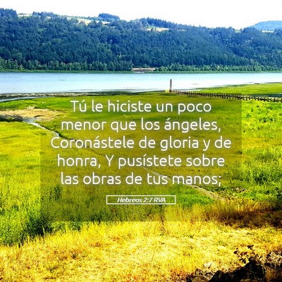Picture 05 - Hebreos 2:7 RVA - Tú le hiciste un poco menor que los ángeles, - Bible Verse Picture