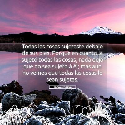 Picture 05 - Hebreos 2:8 RVA - Todas las cosas sujetaste debajo de sus pies. - Bible Verse Picture