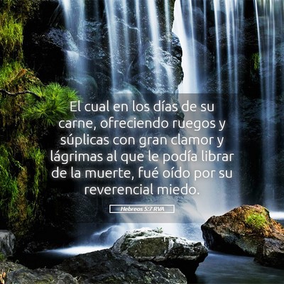 Picture 05 - Hebreos 5:7 RVA - El cual en los días de su carne, ofreciendo - Bible Verse Picture