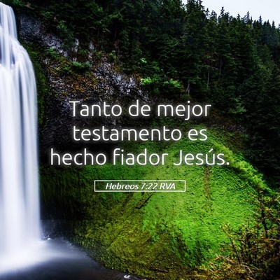 Picture 05 - Hebreos 7:22 RVA - Tanto de mejor testamento es hecho fiador - Bible Verse Picture