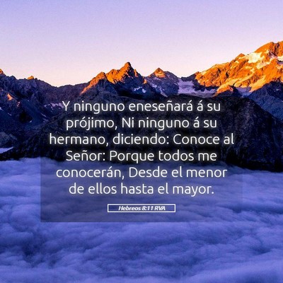 Picture 05 - Hebreos 8:11 RVA - Y ninguno eneseñará á su prójimo, Ni ninguno - Bible Verse Picture