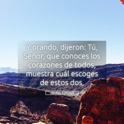 Picture 05 - Hechos 1:24 RVA - Y orando, dijeron: Tú, Señor, que conoces los - Bible Verse Picture