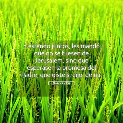 Picture 05 - Hechos 1:4 RVA - Y estando juntos, les mandó que no se fuesen de - Bible Verse Picture
