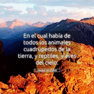 Picture 05 - Hechos 10:12 RVA - En el cual había de todos los animales - Bible Verse Picture