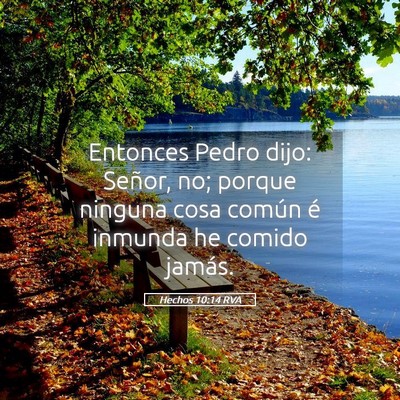 Picture 05 - Hechos 10:14 RVA - Entonces Pedro dijo: Señor, no; porque ninguna - Bible Verse Picture
