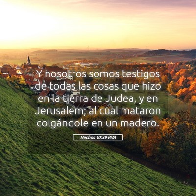 Picture 05 - Hechos 10:39 RVA - Y nosotros somos testigos de todas las cosas que - Bible Verse Picture