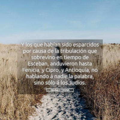Picture 05 - Hechos 11:19 RVA - Y los que habían sido esparcidos por causa de la - Bible Verse Picture