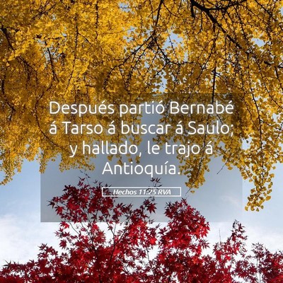 Picture 05 - Hechos 11:25 RVA - Después partió Bernabé á Tarso á buscar á - Bible Verse Picture