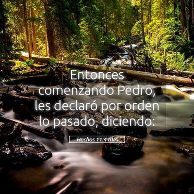 Picture 05 - Hechos 11:4 RVA - Entonces comenzando Pedro, les declaró por orden - Bible Verse Picture