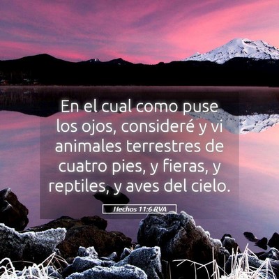 Picture 05 - Hechos 11:6 RVA - En el cual como puse los ojos, consideré y vi - Bible Verse Picture