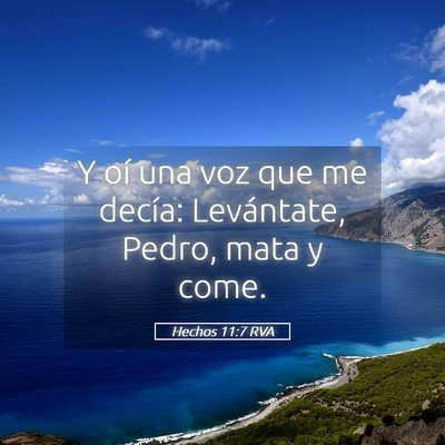 Picture 05 - Hechos 11:7 RVA - Y oí una voz que me decía: Levántate, Pedro, - Bible Verse Picture